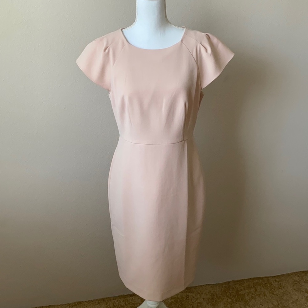 NWT Ann Taylor dress Size 8
